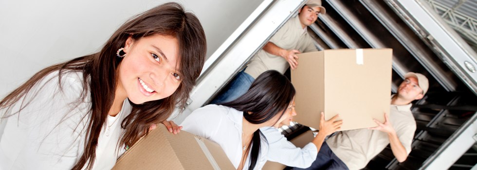 Professional Removalists Franklin ACT